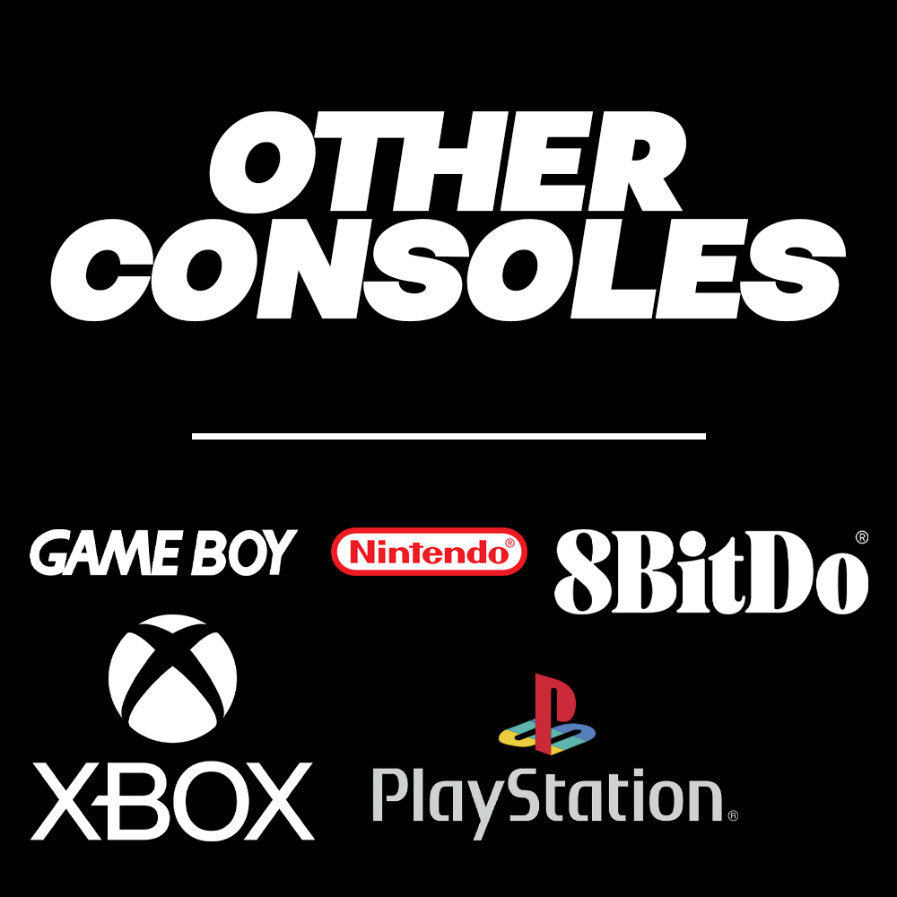 Miscellaneous Controllers and Consoles