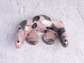 GameCube Bottom Shell - Coffee Marble (Glossy)