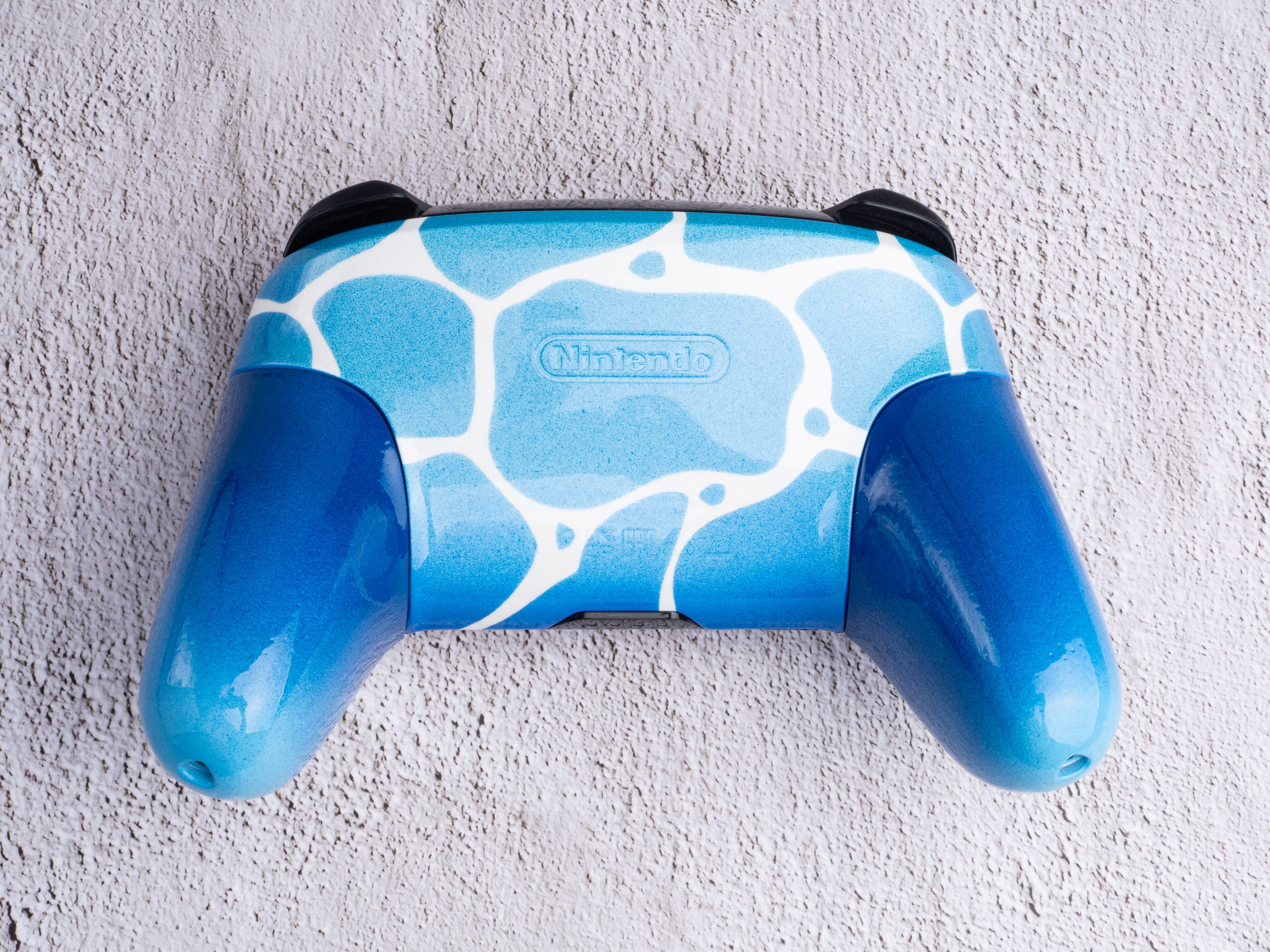 Squirtle / Pokémon - Nintendo Switch Custom Controller
